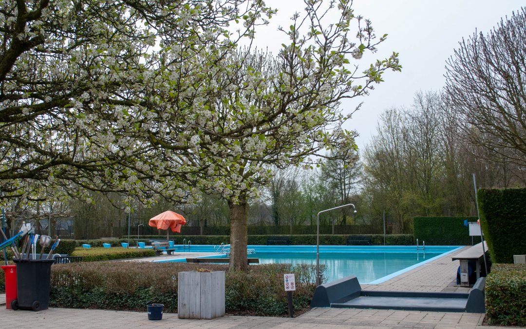 Renovatie zwembad Byvoorde Wehl